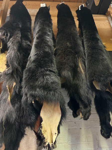 Black Bear Fur Pelts – Bill Worb Furs