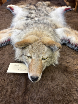 Timberwolf-Reittier