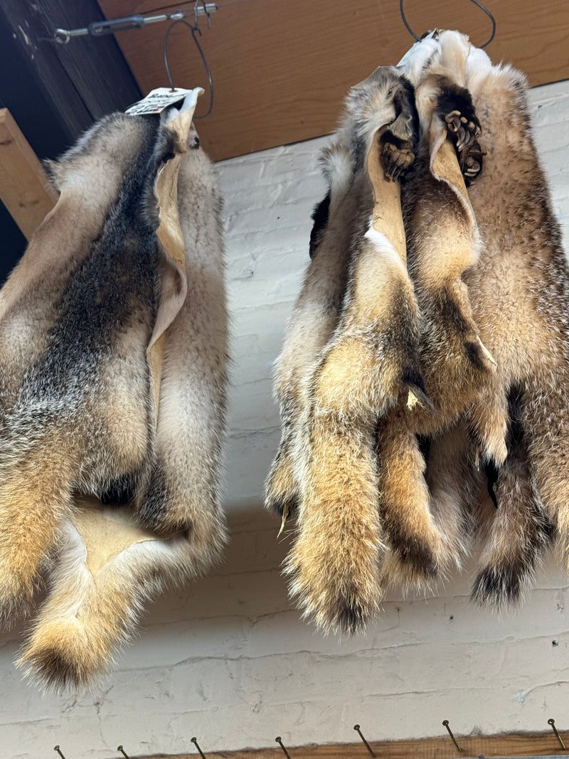 Badger fur pelts - Bill Worb Furs