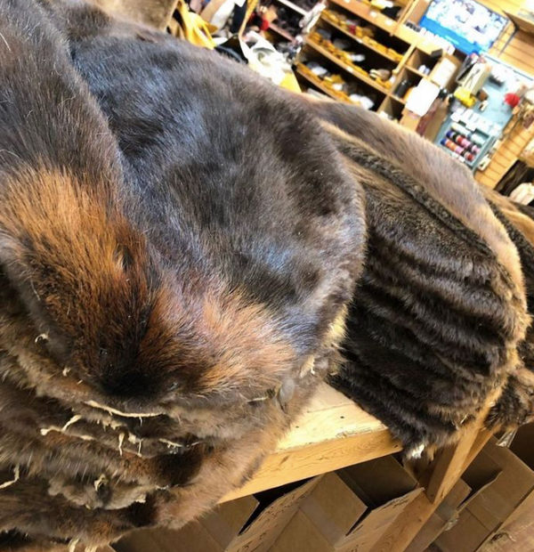 Chapeau Beaver JaxonBilt Wild Bill Taille 7 1/4 - 7 3/8 - Occasion, Forme Et Bande Personnalisées