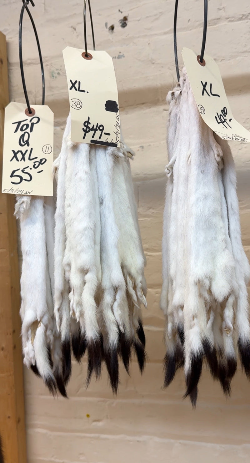 Buy weasel fur pelts Bill Worb Furs