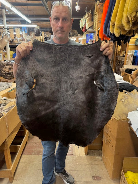 dyed ring seal - Bill Worb Furs
