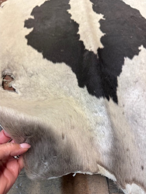 Giant seal fur skin - Bill Worb Furs