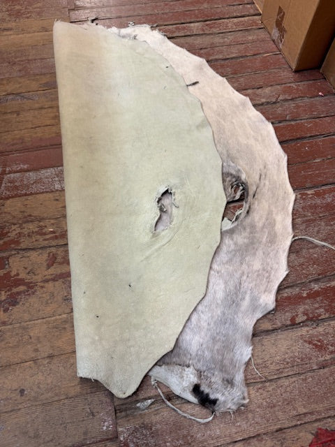 Giant seal fur skin - Bill Worb Furs