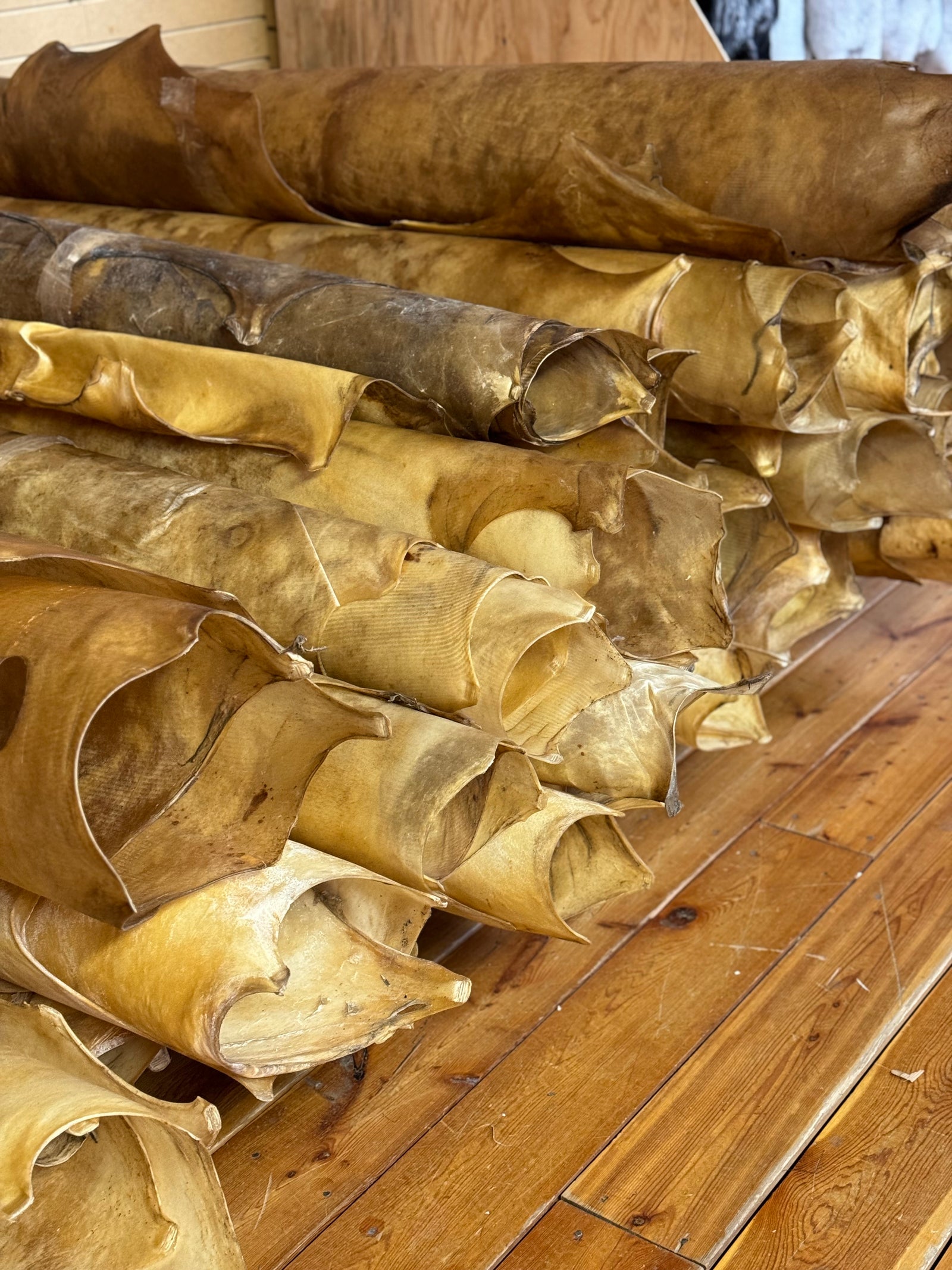 Raw Hides – Bill Worb Furs Inc.