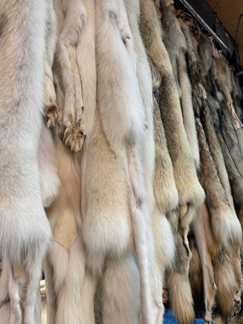 Timberwolf Fur Pelts Bill Worb Furs Inc.