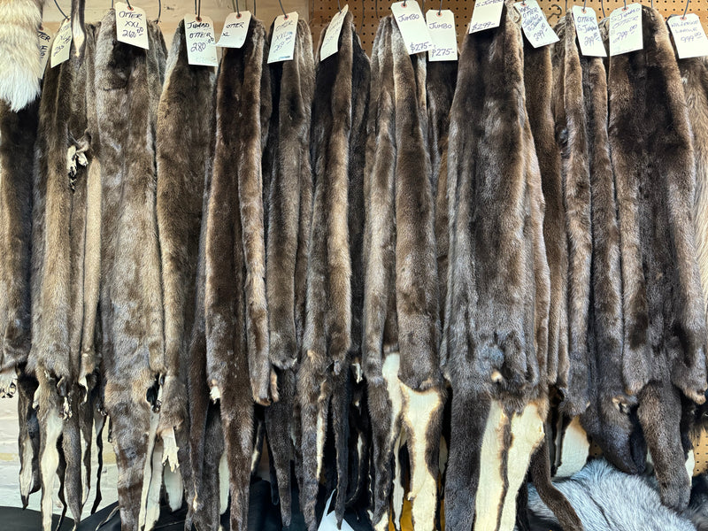 Otter fur pelts - Bill Worb Furs