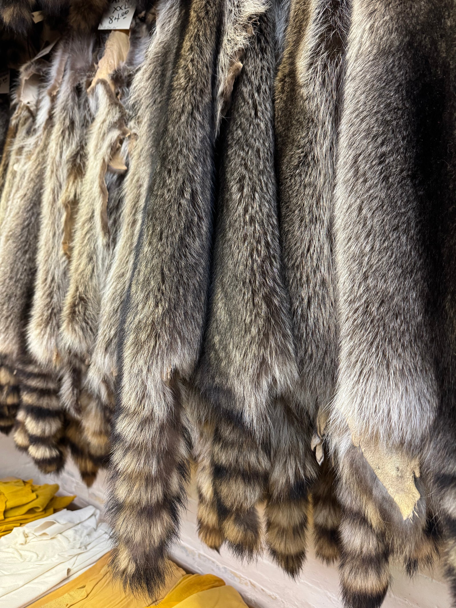 Raccoon Fur – Bill Worb Furs Inc., image size:1600x2133