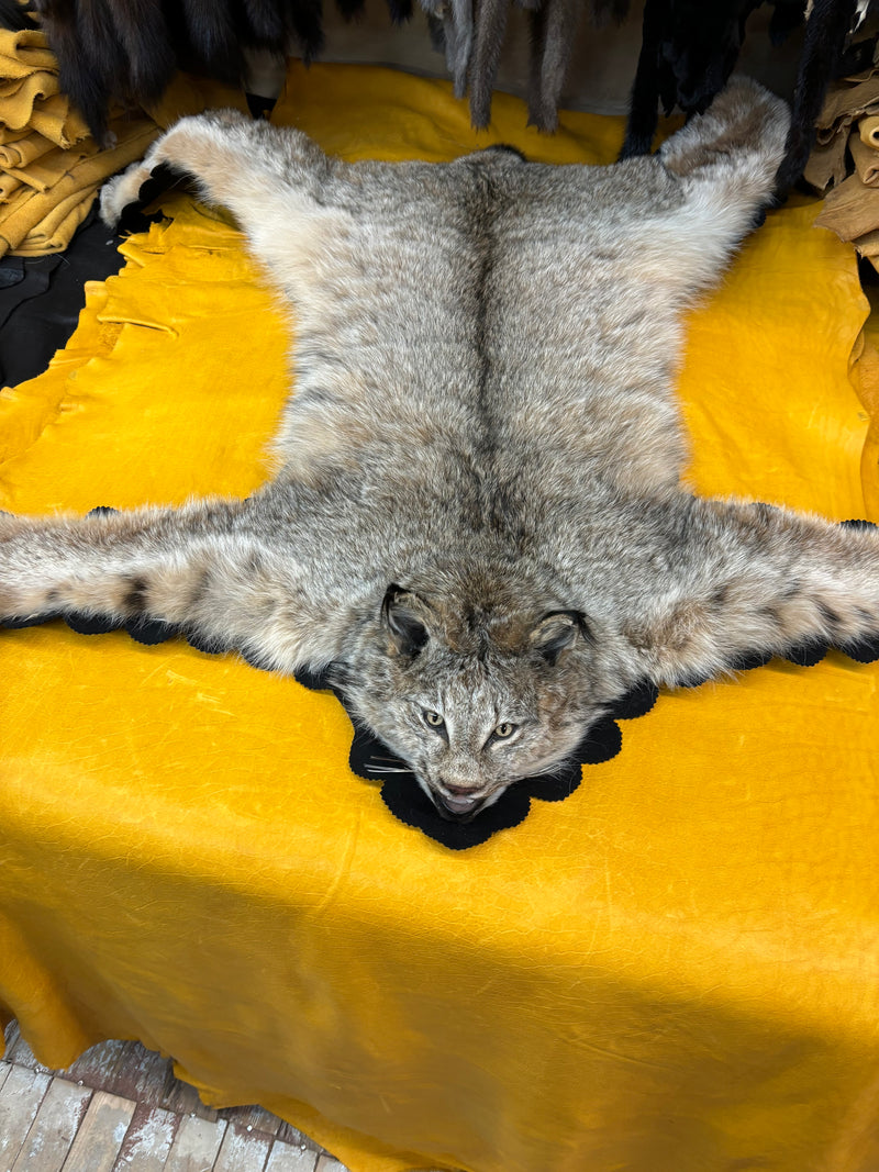 Lynx Full Mount Rug