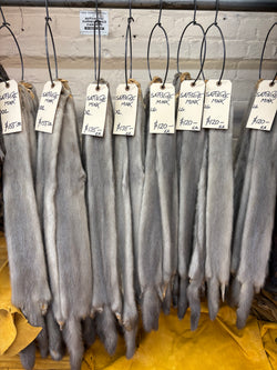 Sapphire Mink Fur Pelts