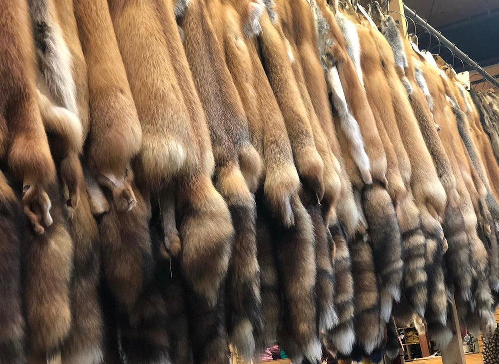 Fur store, fur pelts, leather, sheepskin and craft supplies Bill Worb
