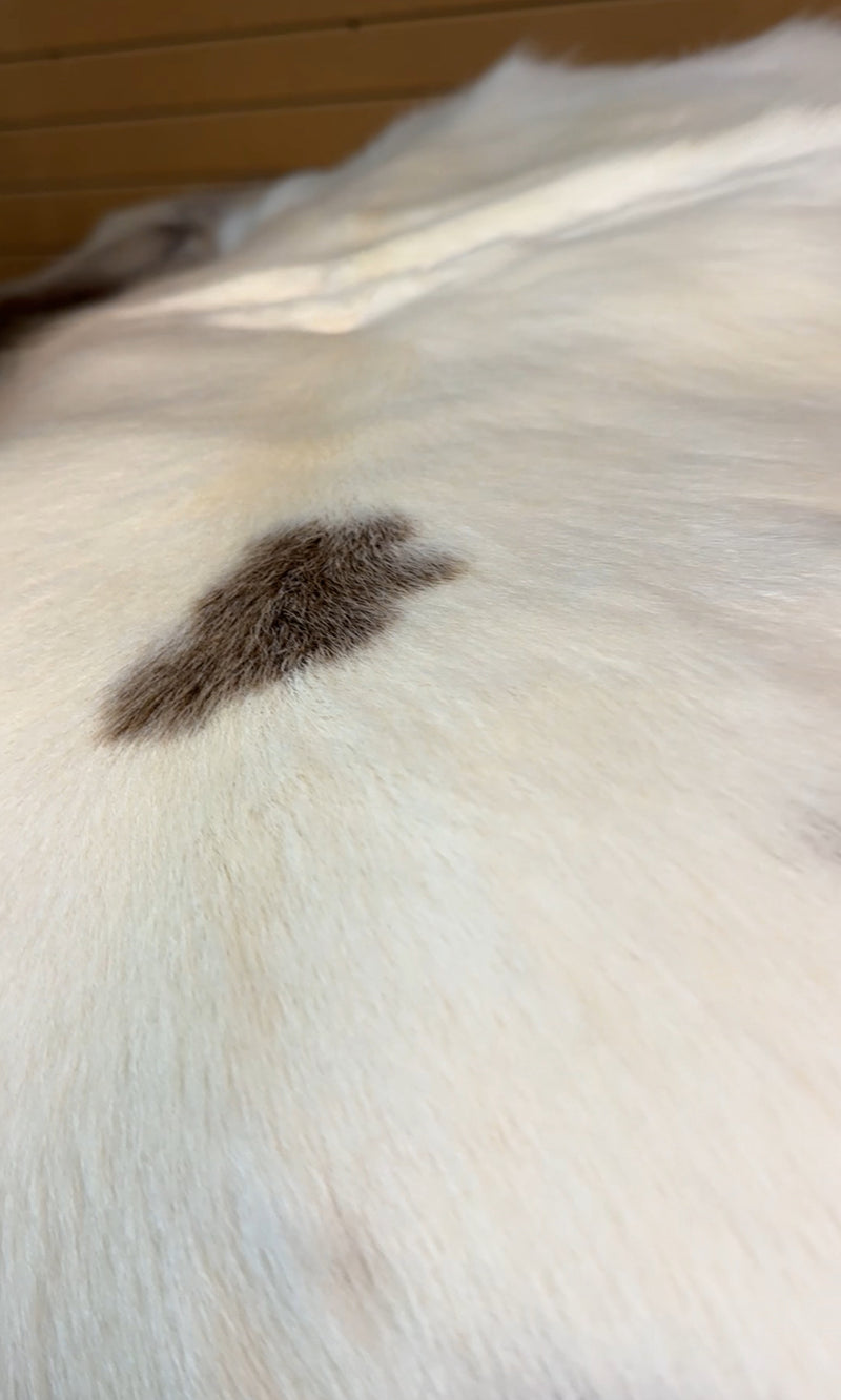 White caribou reindeer hides - Bill Worb Furs