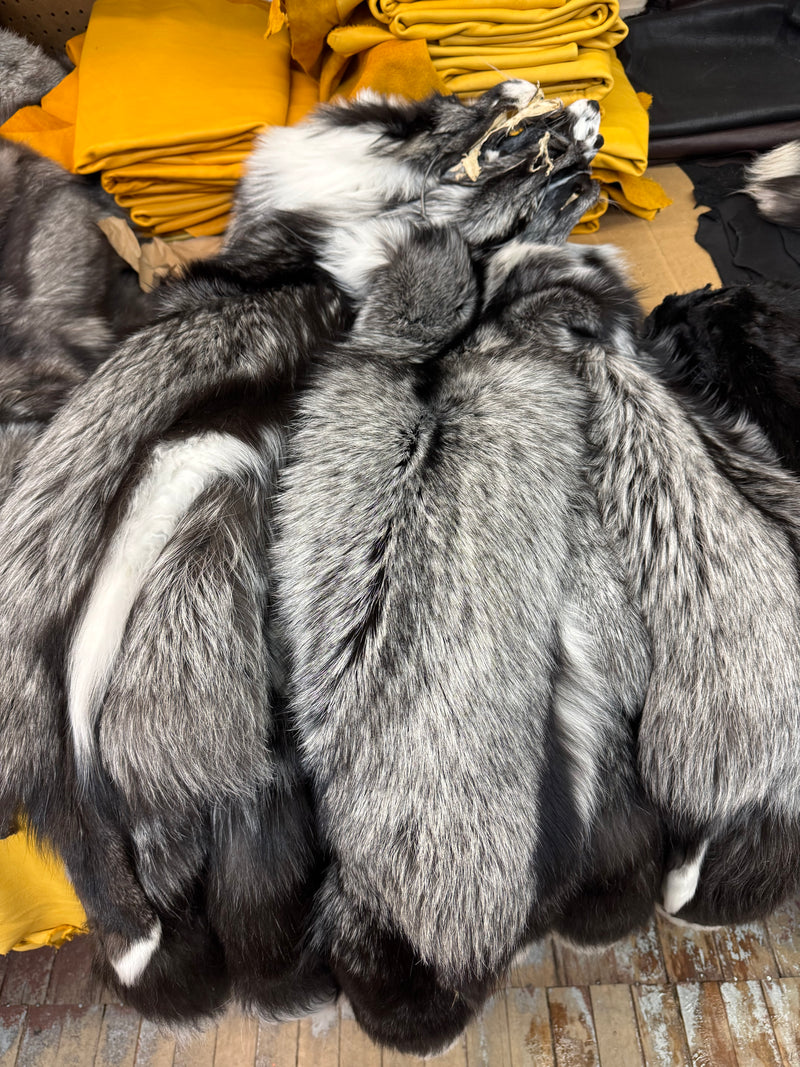 Platinum fox fur pelts - Bill Worb 