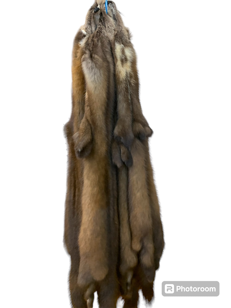 Marten fur reviews - Bill Worb Furs