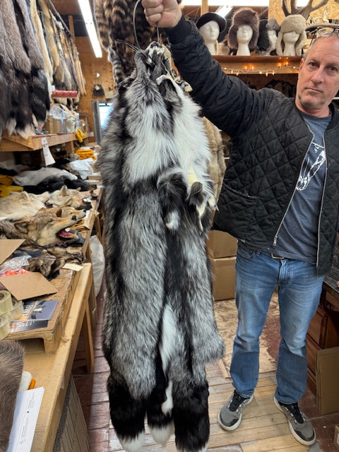 Platinum fox fur pelts - Bill Worb Furs