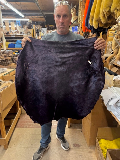 dyed ring seal - Bill Worb Furs