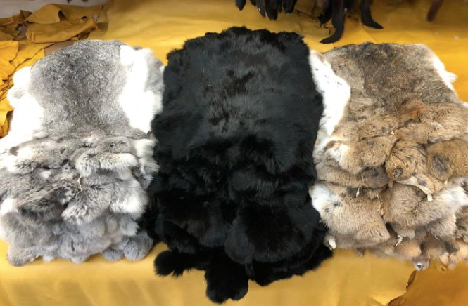 Rabbit Fur Pelts – Bill Worb Furs Inc.