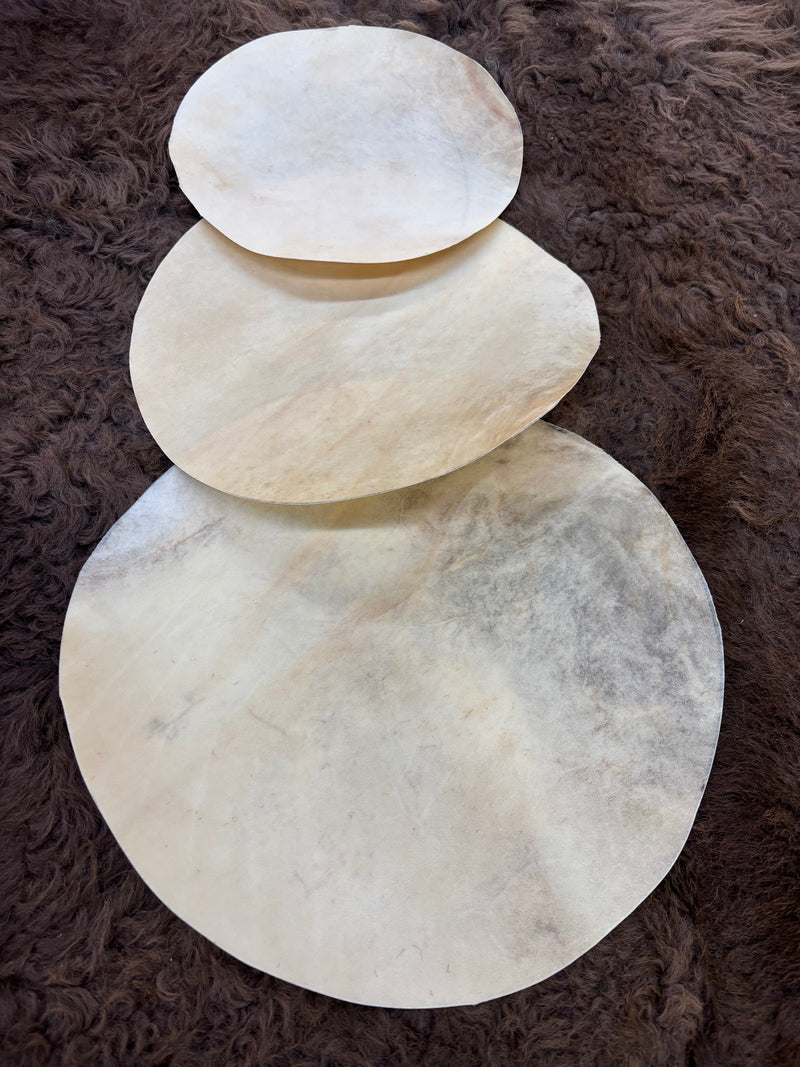 Rawhide drumheads - Bill Worb Furs