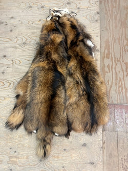 Red Finnish raccoon fur pelts - Bill Worb Furs