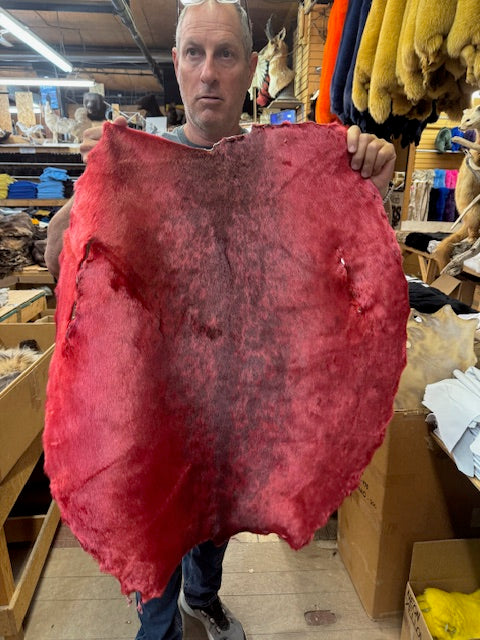 dyed ring seal - Bill Worb Furs