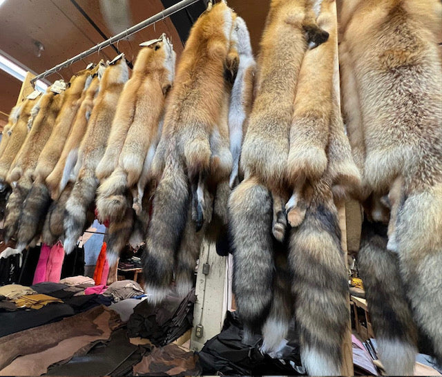 Wild red fox fur pelts - Bill Worb Furs