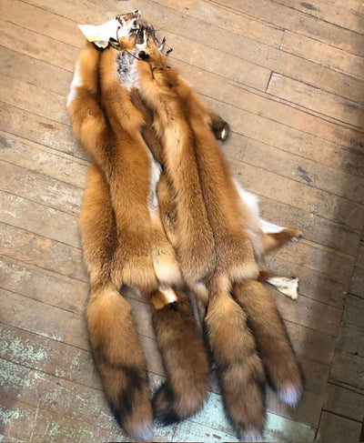Wildredfoxfurpelts_400x.jpg?v=
