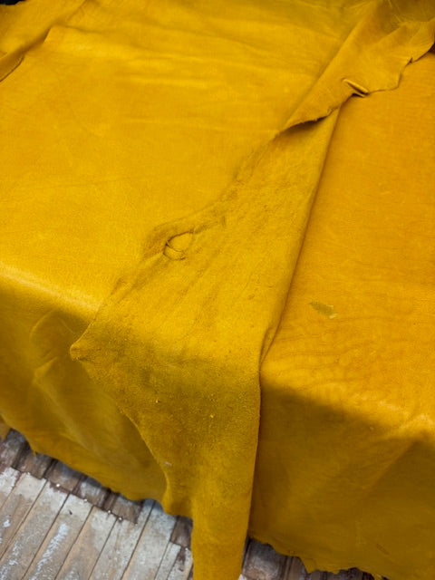 Buffalo Bison leather hides top quality - Bill Worb Furs