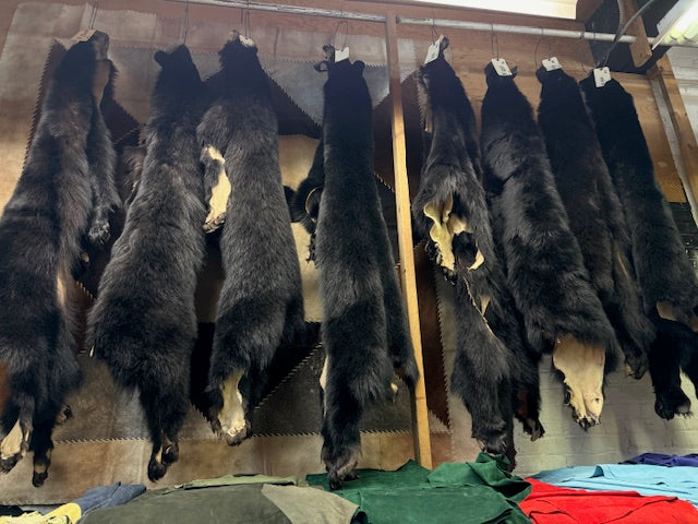 Black bear pelts hides - Bill Worb Furs