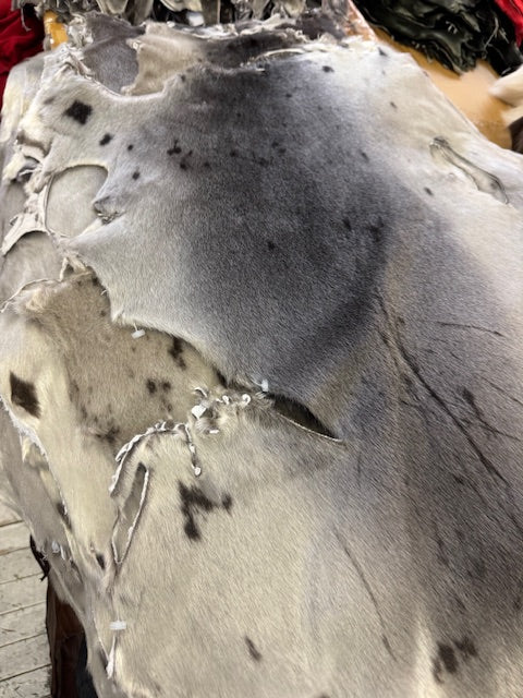Second quality harp seal fur - Bill Worb Furs