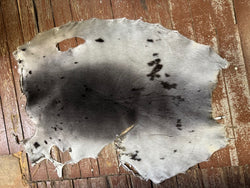 Second quality harp seal fur - Bill Worb Furs