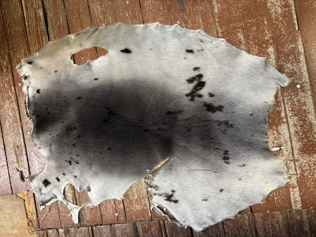 Second quality harp seal fur - Bill Worb Furs