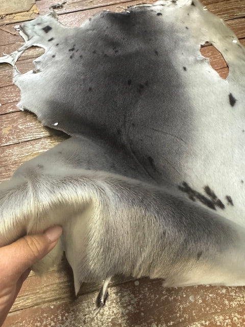 Second quality harp seal fur - Bill Worb Furs