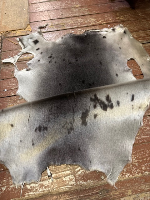 Second quality harp seal fur - Bill Worb Furs