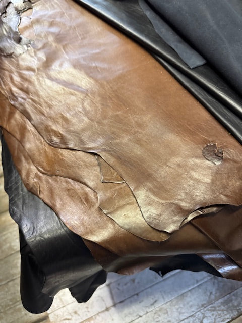 Seal leather - Bill Worb Furs