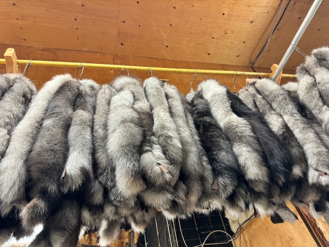 Silver Fox Tail Hood Ruffs