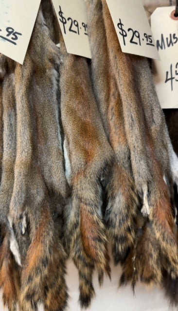 squirrel fur pelts - Bill Worb Furs