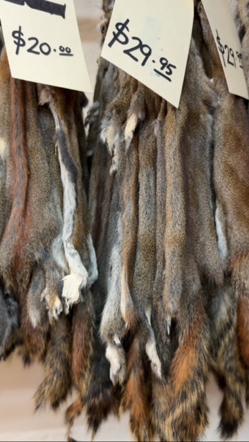 Squirrel fur pelts sizes - Bill Worb Furs