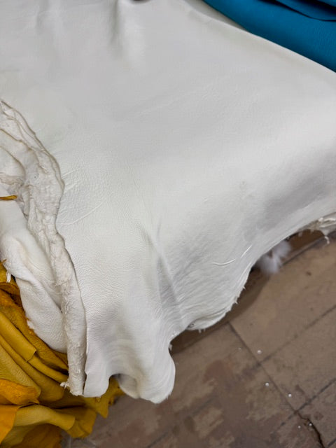 White deer polished hides - Bill Worb Furs