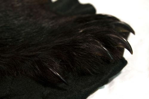 Black Bear Claws - Bill Worb Furs Inc.