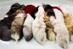 authentic fur tails / Bill Worb Furs