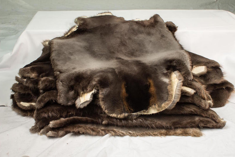 sheared beaver fur pelts top quality - Bill Worb Furs