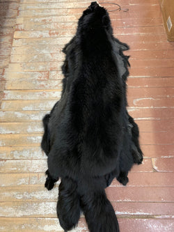 dyed black Finnish raccoon fur pelts real