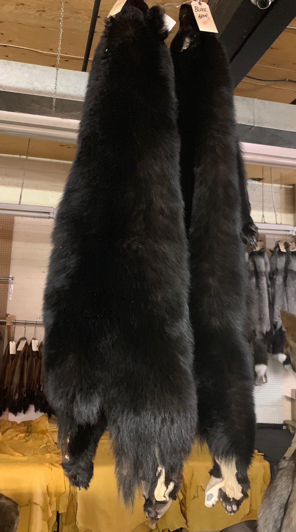 Black Bear Fur Pelts Bill Worb Furs Inc.