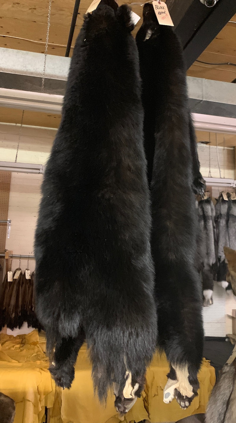 Fur Bear Pelt Prices