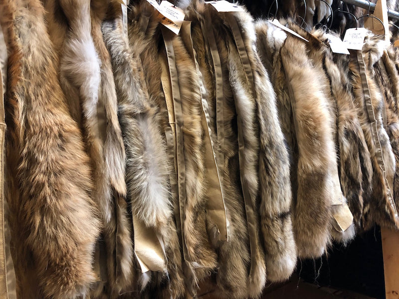 commercial quality coyote parka hood ruffs - Bill Worb Furs