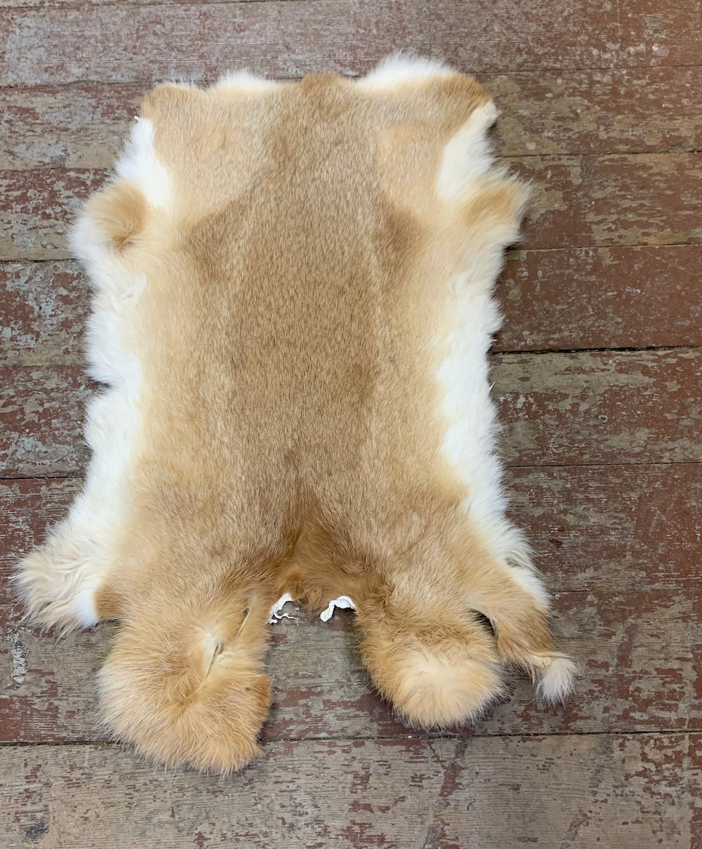 Rabbit Fur Pelts Bill Worb Furs Inc.