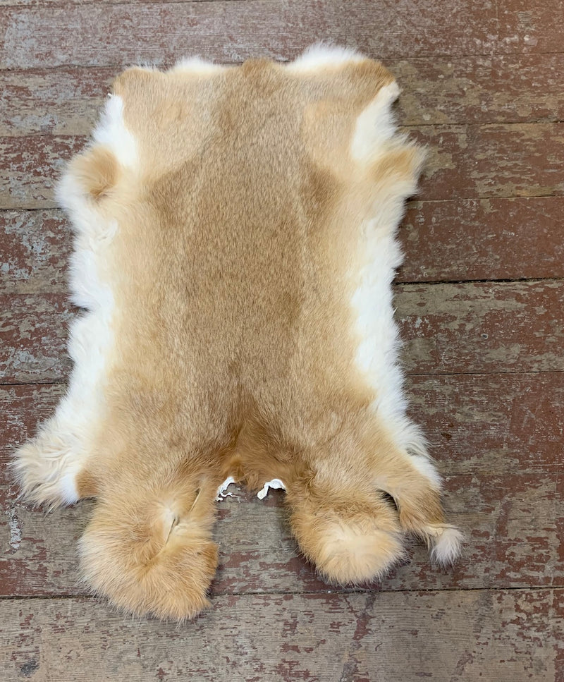 Rabbit Fur Pelts – Bill Worb Furs Inc.