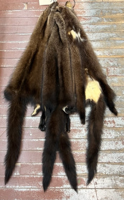 Fisher fur pelts Bill Worb Furs