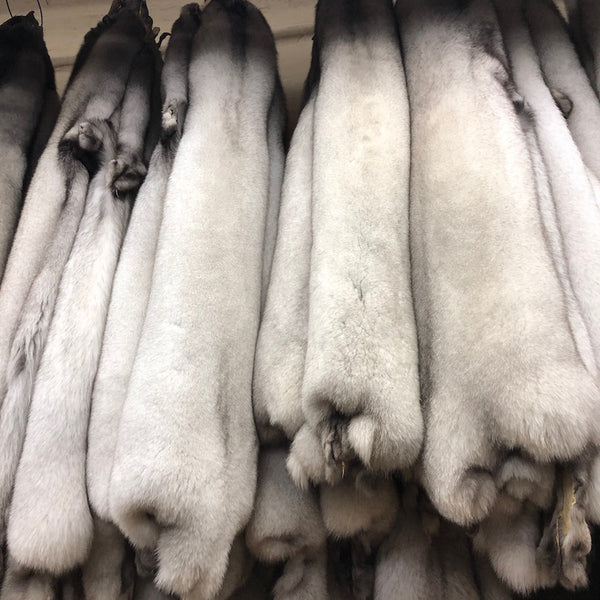 Blue fox coats outlet