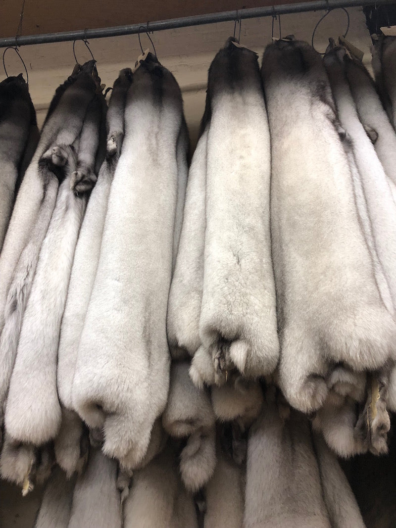 natural blue fox fur pelts top quality - Bill Worb Furs